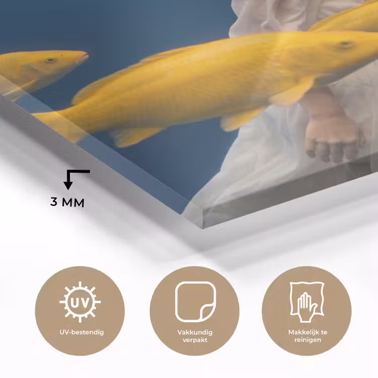 Vrouw - Vis - Water - Natuur - Geel plexiglas 5mm klein -sfeer2