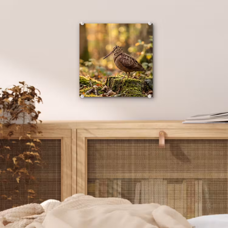 Houtsnip - Bos - Bladeren - Herfst - Gecamoufleerd plexiglas 5mm klein -sfeer4