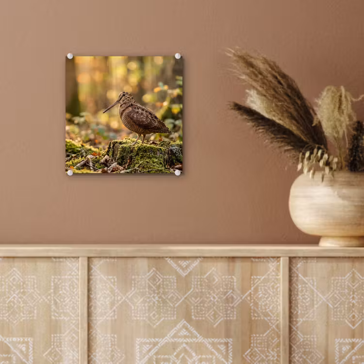 Houtsnip - Bos - Bladeren - Herfst - Gecamoufleerd plexiglas 5mm klein -sfeer5