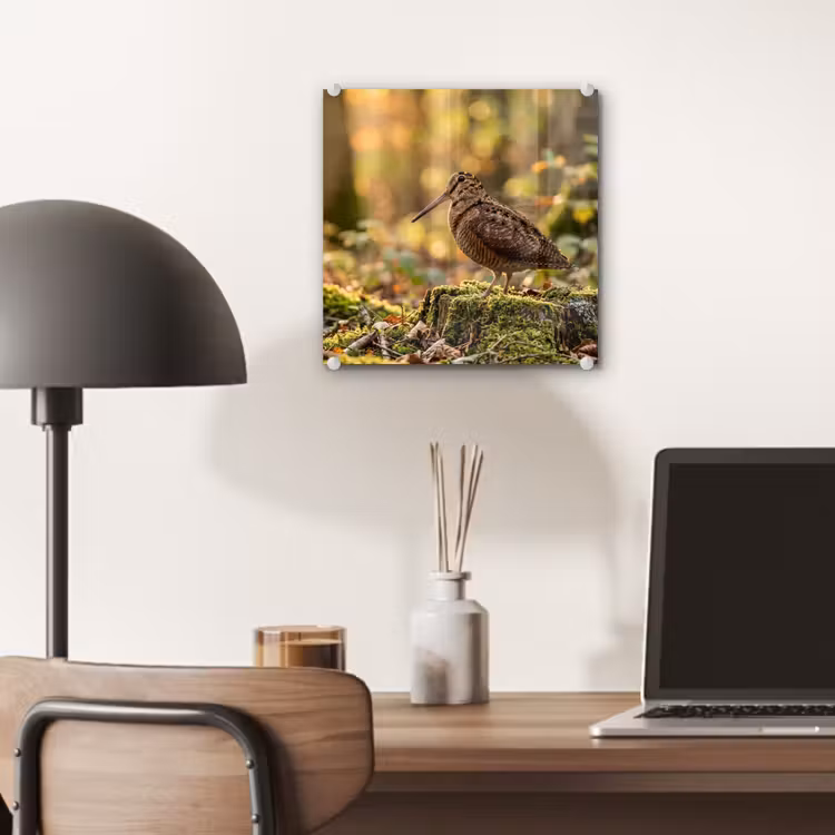 Houtsnip - Bos - Bladeren - Herfst - Gecamoufleerd plexiglas 5mm klein -sfeer6