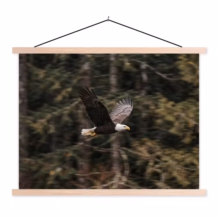 Zeearend - Vliegen - Bos - Natuur textielposter latten blank klein -3d