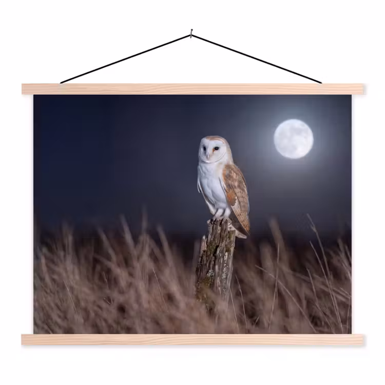 Kerkuil - Maan - Nacht textielposter latten blank klein -3d