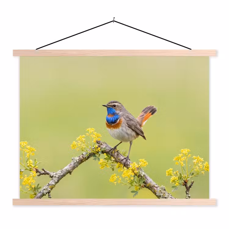 Vogel - Tak - Natuur - Kleurrijk textielposter latten blank klein -3d