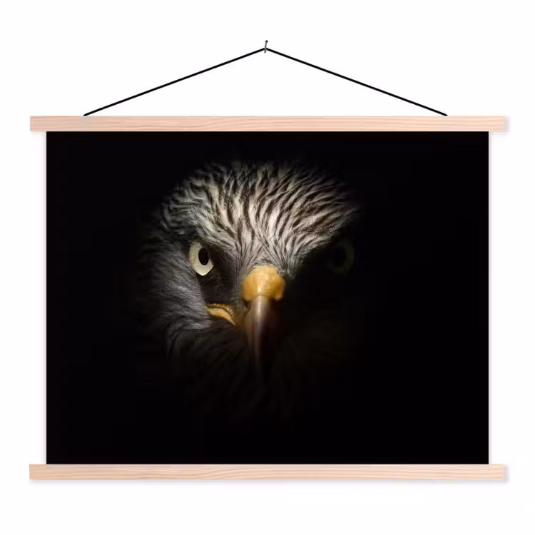 Vogel - Adelaar - Roofvogels - Oog - Snavel - Licht textielposter latten blank klein -3d
