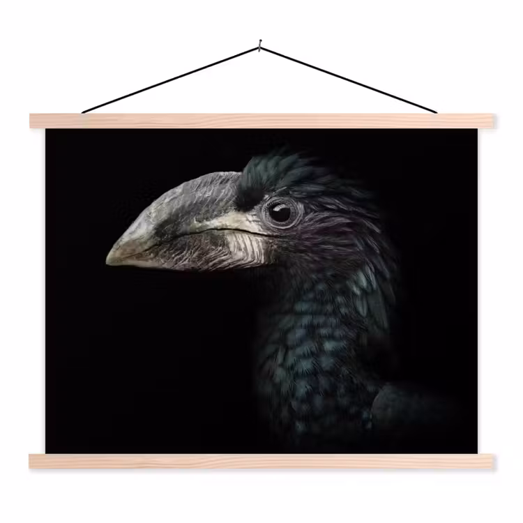 Vogel - Portret - Neushoornvogel - Zwart - Dieren textielposter latten blank klein -3d