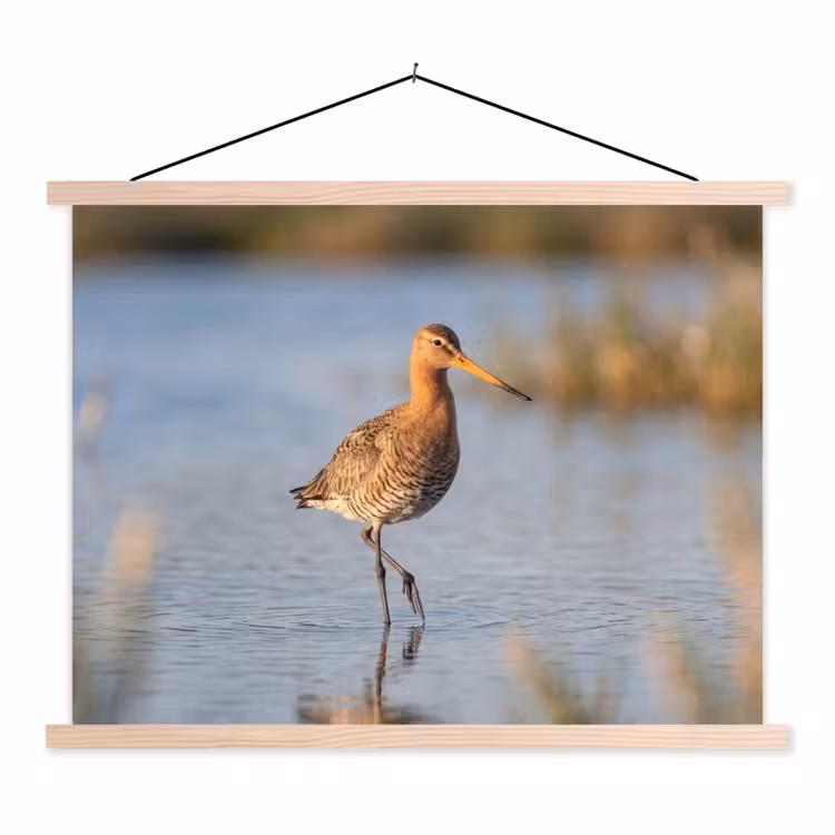Vogel - Steltloper - Water - Natuur textielposter latten blank klein -3d