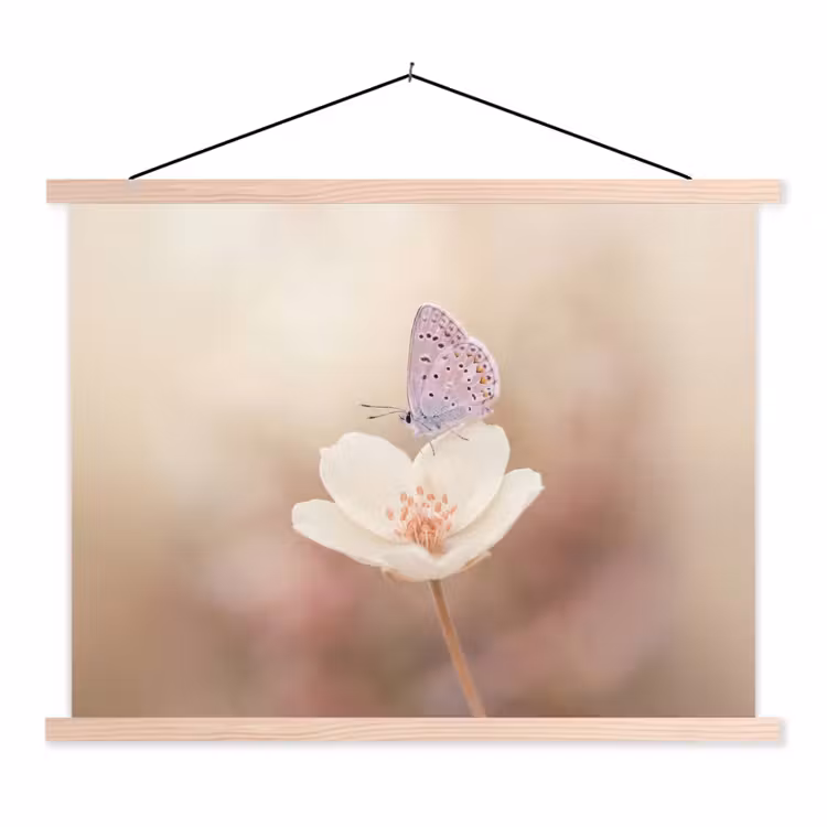 Vlinder - Bloem - Blauw textielposter latten blank klein -3d