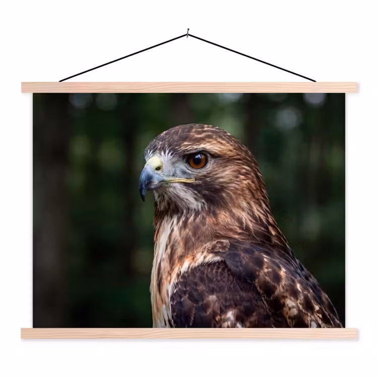 Buizerd - Roofvogel - Natuur - Bruin textielposter latten blank klein -3d