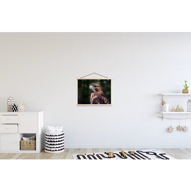 Buizerd - Roofvogel - Natuur - Bruin textielposter latten blank klein -kinderkamer