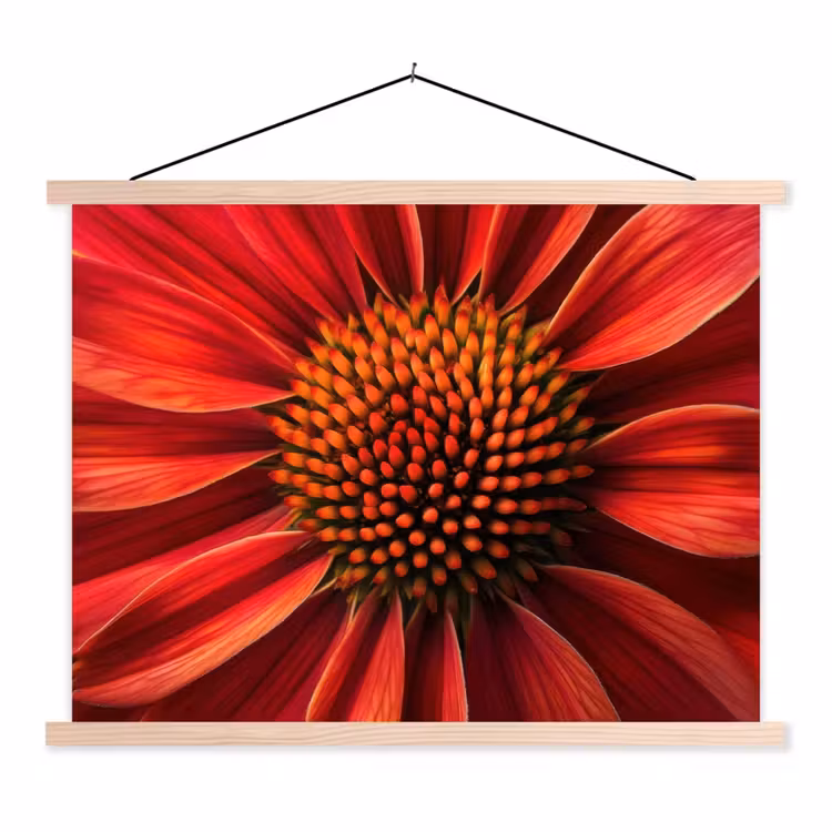 Close up - Bloem- Rood textielposter latten blank klein -3d