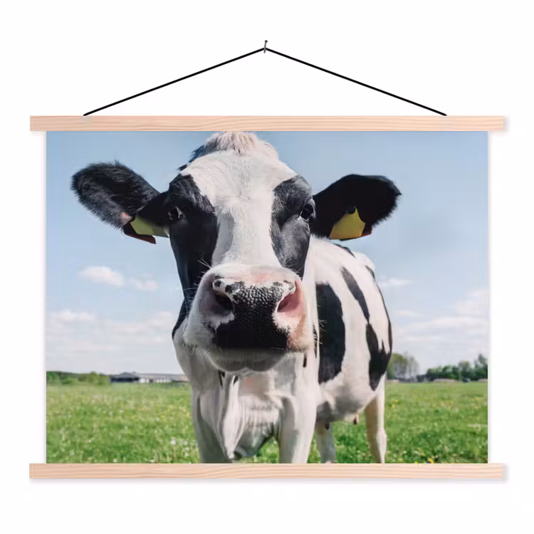 Koe - Weiland - Natuur - Dieren - Gras textielposter latten blank klein -3d