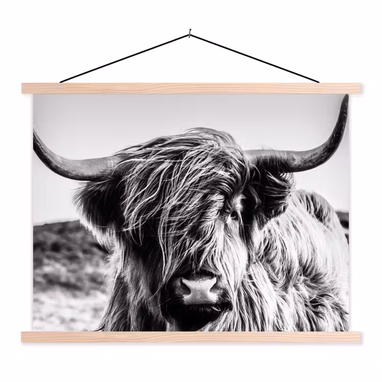 Koe - Schotse hooglander - Zwart - Wit - Dier - Natuur - Wild textielposter latten blank klein -3d