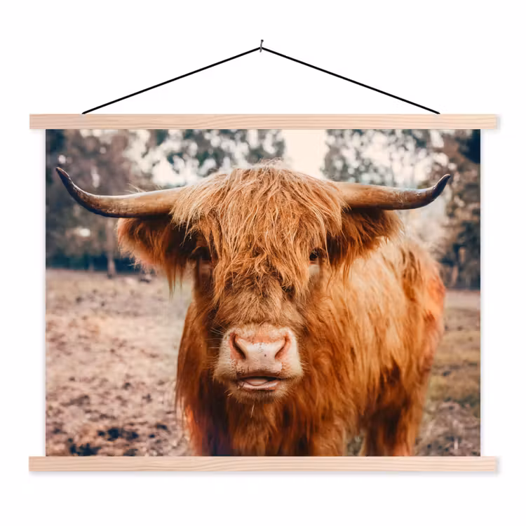 Koe- Schotse hooglander - Hoorns - Bruin - Landschap textielposter latten blank klein -3d