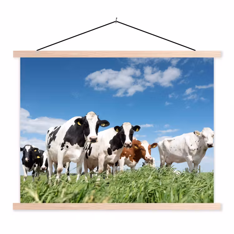 Koeien - Platteland - Weiland - Natuur - Dieren textielposter latten blank klein -3d