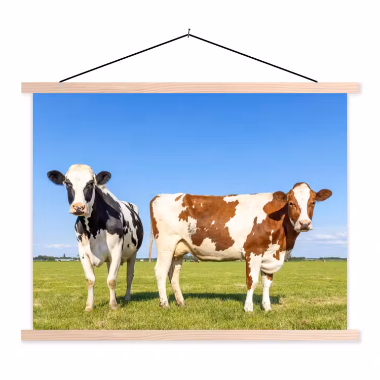Koeien - Boerderij - Gras- Natuur - Dieren textielposter latten blank klein -3d