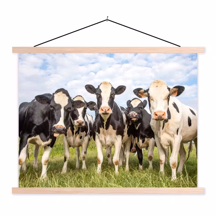 Koeien - Weiland - Dieren - Natuur - Gras textielposter latten blank klein -3d