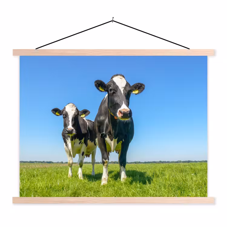 Koeien - Weiland - Gras - Dieren - Boerderij textielposter latten blank klein -3d