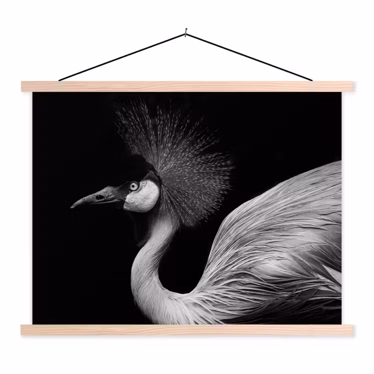 Kraanvogel - Zwart - Wit - Vogel - Dieren textielposter latten blank klein -3d