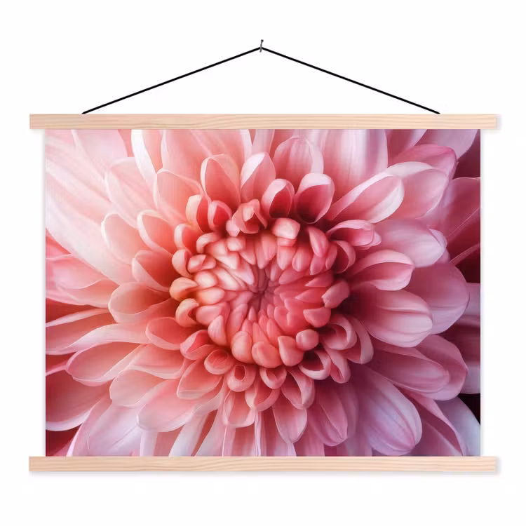 Dahlia - Bloem - Close up - Roze textielposter latten blank klein -3d