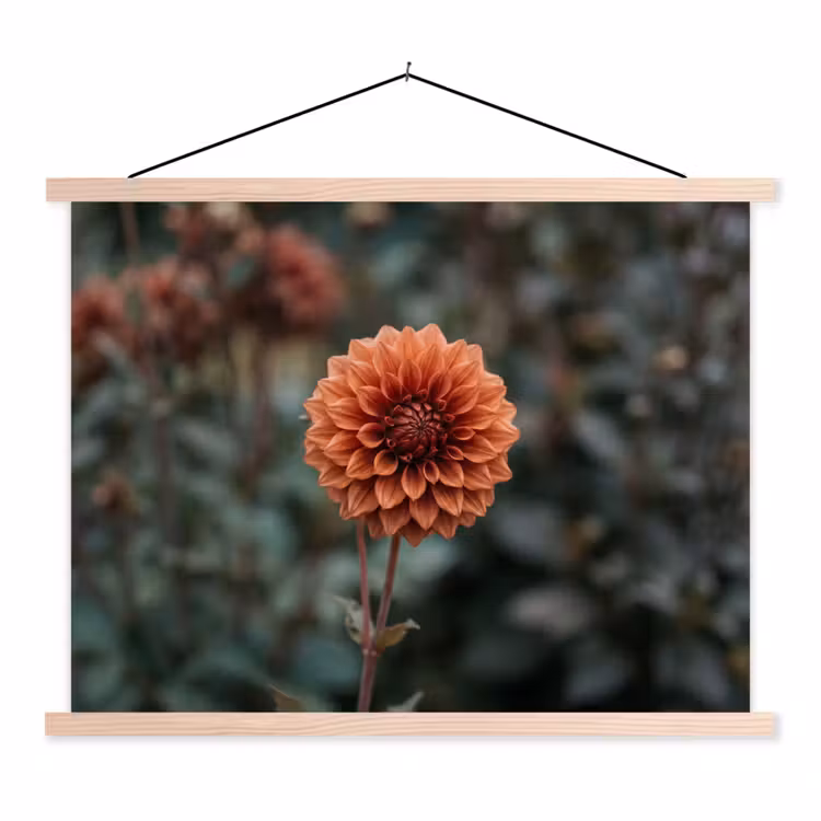 Dahlia - Bloem - Natuur - Sfeervol textielposter latten blank klein -3d