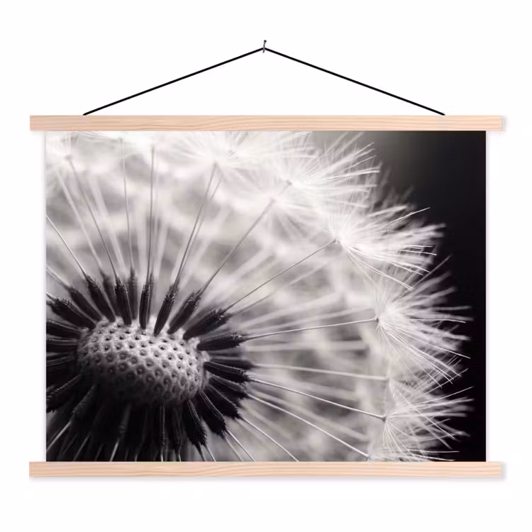 Paardenbloem - Zwart - Wit textielposter latten blank klein -3d