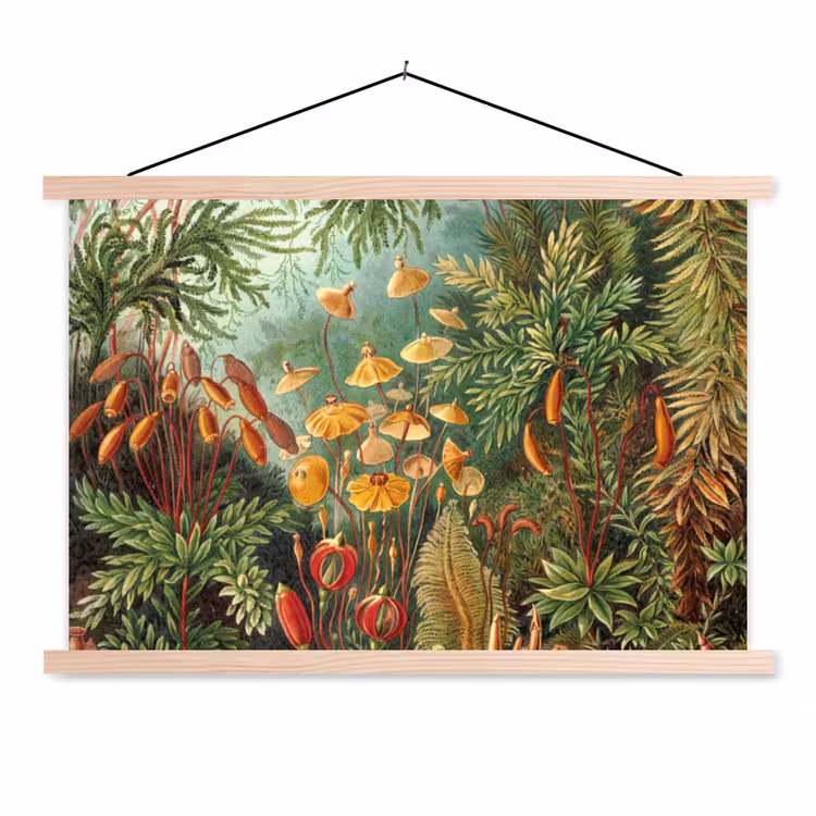 Design - Natuur - Paddenstoelen - Ernst Haeckel textielposter latten blank klein -3d