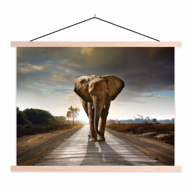 Olifant - Weg - Dieren - Zonsondergang - Landschap textielposter latten blank klein -3d