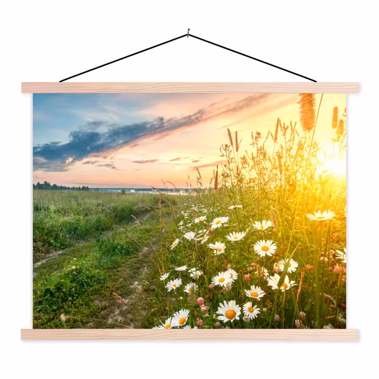 Bloemen - Madelief - Natuur - Zon - Horizon textielposter latten blank klein -3d
