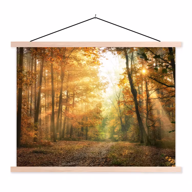 Bos - Herfst - Zon - Landschap - Natuur textielposter latten blank klein -3d