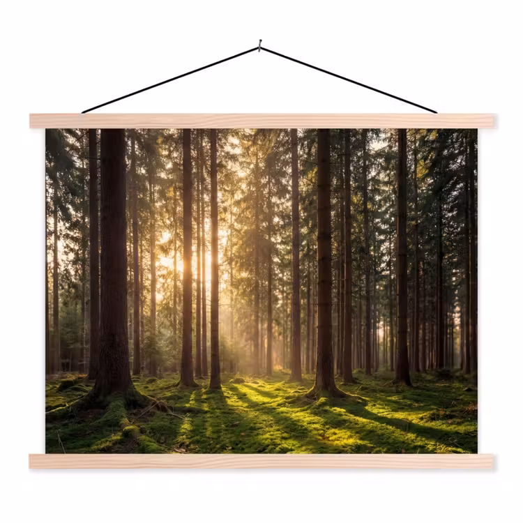 Bos - Gras - Zonlicht textielposter latten blank klein -3d