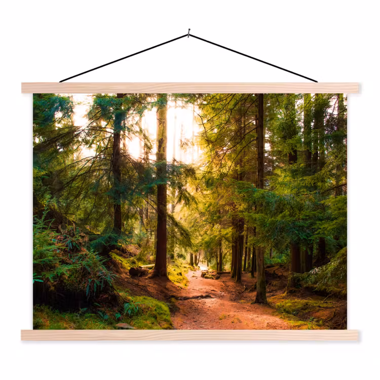 Bos - Pad - Bomen - Groen - Zon - Natuur textielposter latten blank klein -3d
