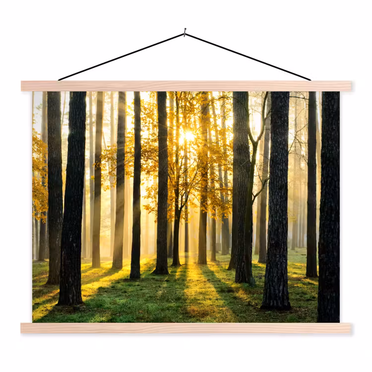 Bos - Zon - Bomen - gras - Landschap textielposter latten blank klein -3d