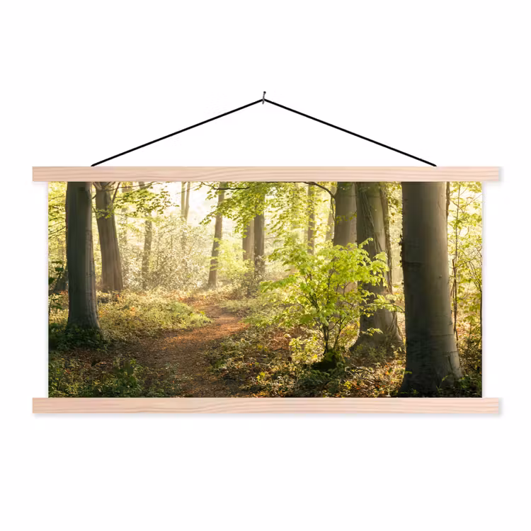Bos - Bomen - Pad - Zon - Planten - Bladeren - Natuur textielposter latten blank klein -3d