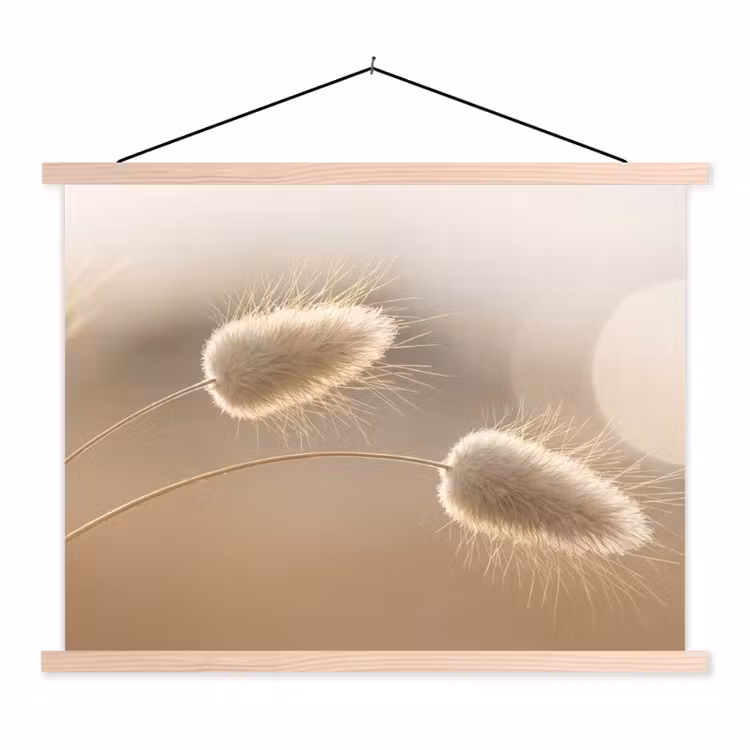 Hazestaartgras - Graanharen - Zonlicht textielposter latten blank klein -3d