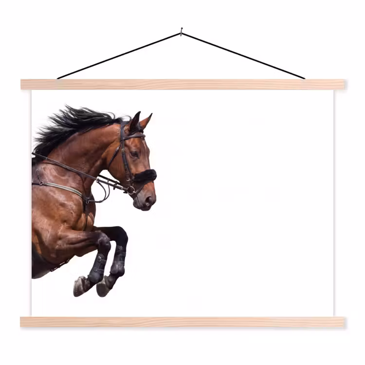 Paard - Springen - Modern textielposter latten blank klein -3d
