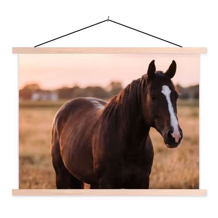 Paard - Zonsondergang - Bruin textielposter latten blank klein -3d