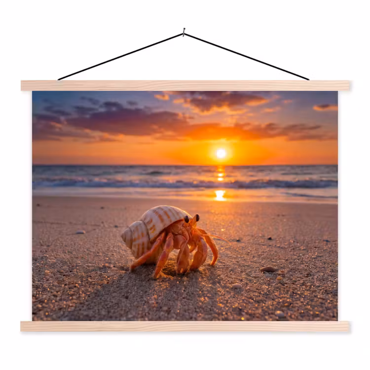 Kreeft - Strand - Natuur - Zonsondergang - Oranje textielposter latten blank klein -3d