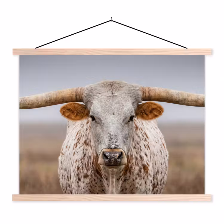 Longhorn - Grasveld - Dier textielposter latten blank klein -3d