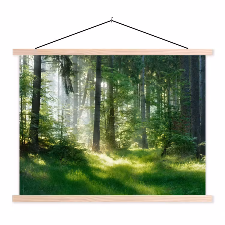 Natuur - Bomen - Bos - Groen - Zon textielposter latten blank klein -3d