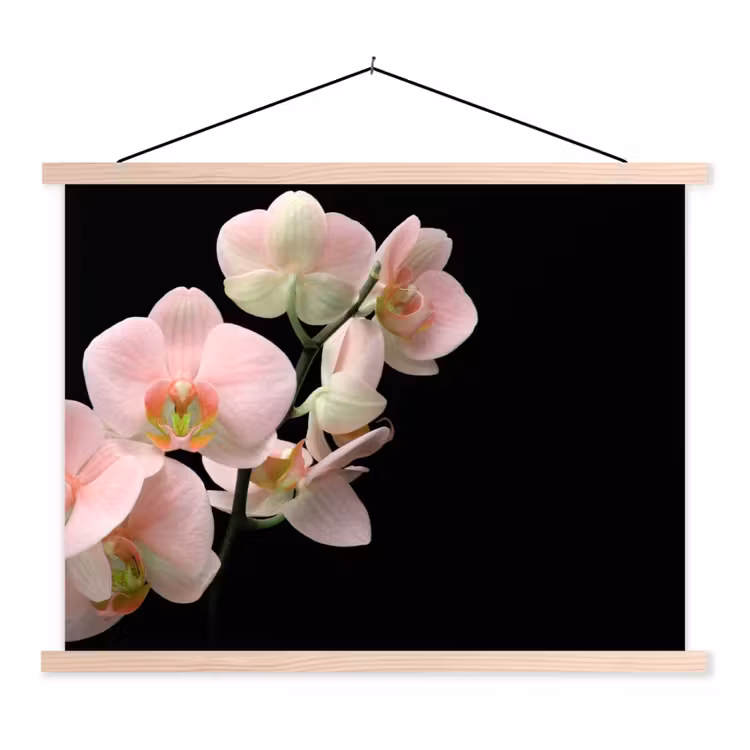 Orchidee - Bloemen - Roze - Stilleven - Flora textielposter latten blank klein -3d