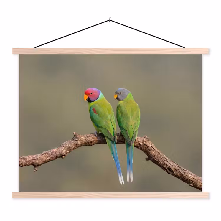 Papagaai - Tak - Natuur - Kleurrijk textielposter latten blank klein -3d