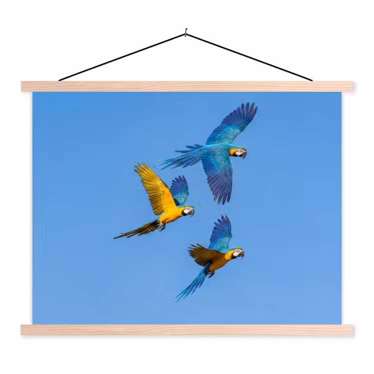 Papagaai - Vliegen - Blauw - Geel textielposter latten blank klein -3d