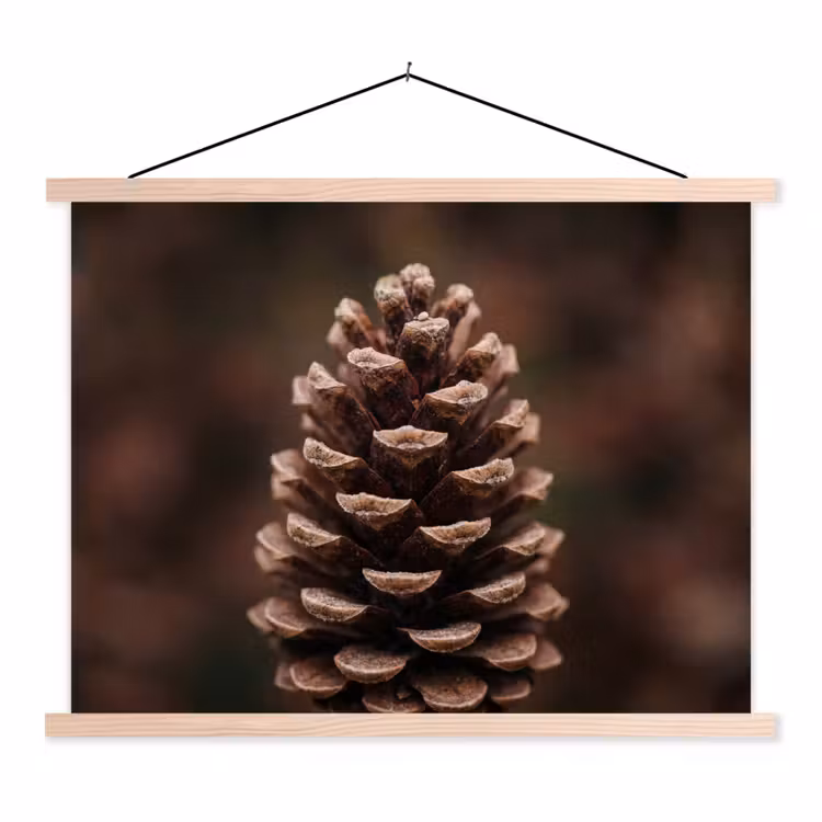 Dennenappel - Bos - Herfst - Bruin - Sfeervol textielposter latten blank klein -3d