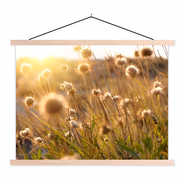 Planten - Natuur - Bloemen - Zon - Horizon textielposter latten blank klein -3d