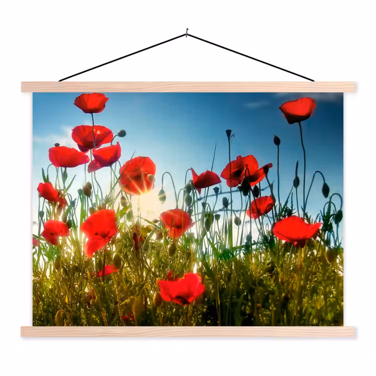Klaprozen - Toscane - Zon - Rood - Blauw textielposter latten blank klein -3d