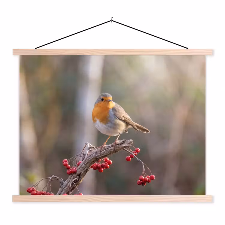 Roodborst - Tak - Bessen - Natuur textielposter latten blank klein -3d