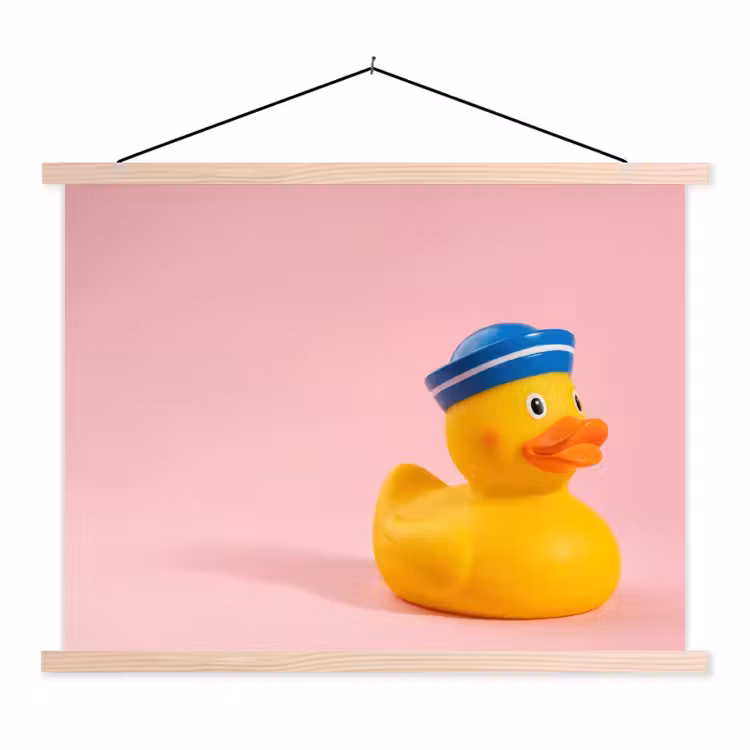 Matroos - Eend - Roze textielposter latten blank klein -3d