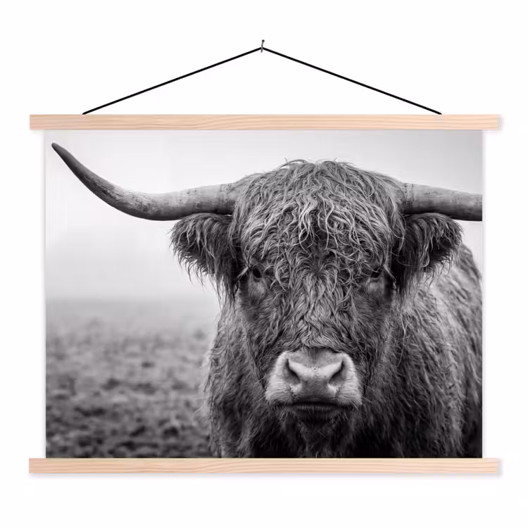 Schotse hooglander - Zwart - Wit - Gras textielposter latten blank klein -3d