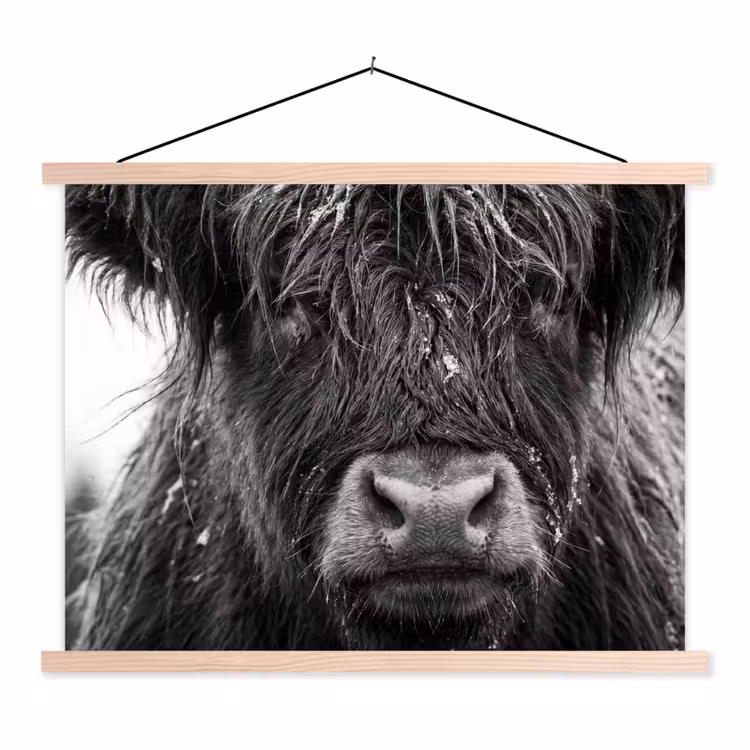Schotse hooglander - Zwart - Wit - Sneeuwvlokken textielposter latten blank klein -3d