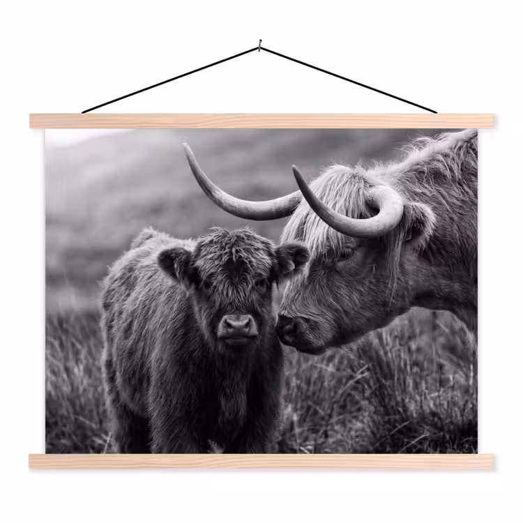 Schotse hooglander - Kalf - Zwart - Wit textielposter latten blank klein -3d